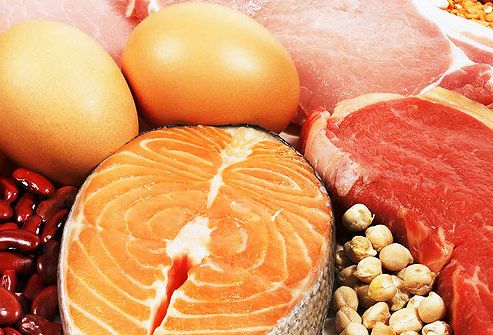 hva er et protein diett 
