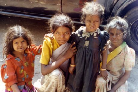 India er leder innen spredning av dyresykdommer