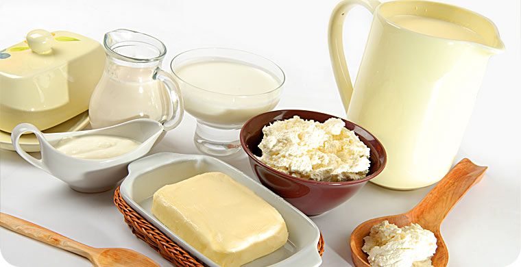 Meieriprodukter