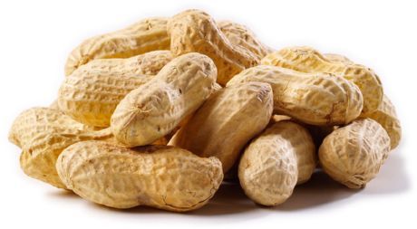 peanøtter