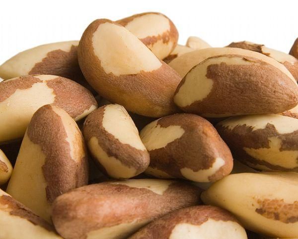 Brasil Nut