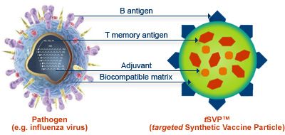 En kompleks syntetisk vaksine basert på DNA-molekyler er laget