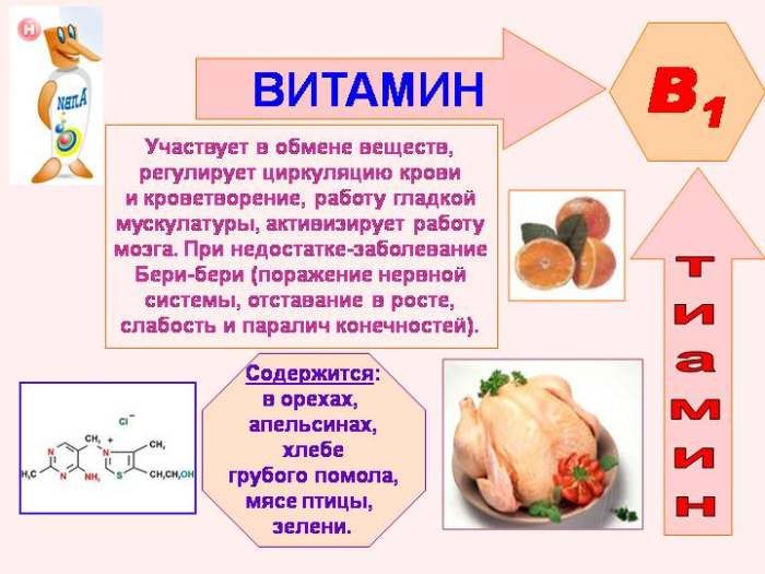 Egenskapene til vitamin B1
